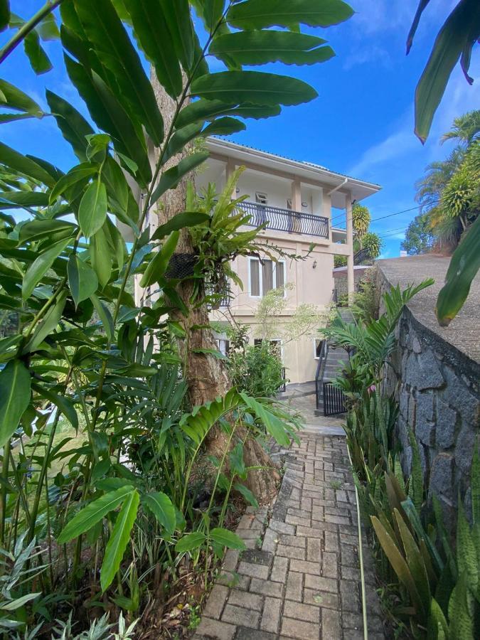 South Hill Villa Anse Royale Exteriér fotografie